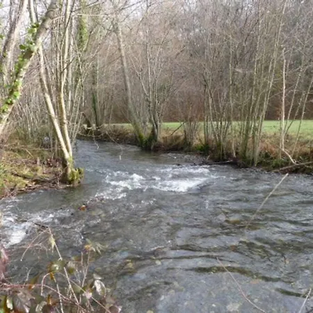 Luscarda