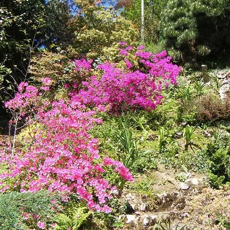 Holiday home Luscarda